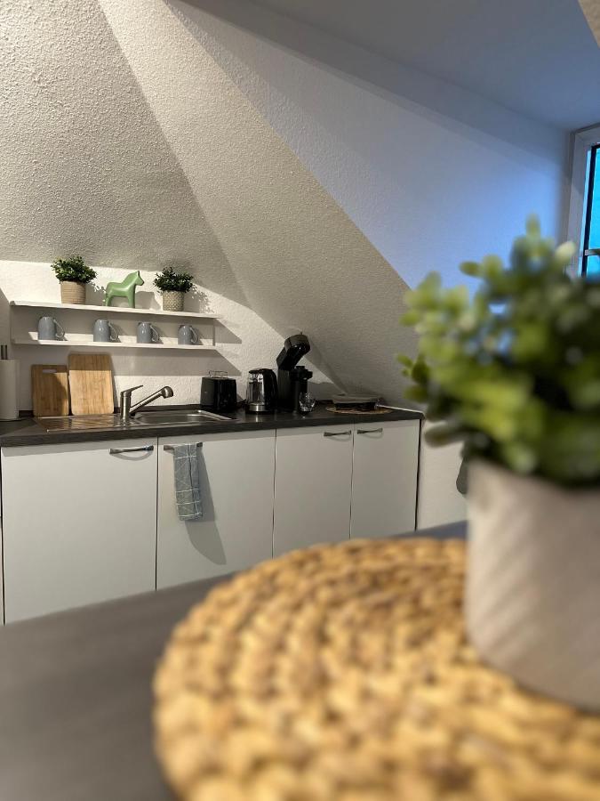 Oasis Appart - Wohnen Am Elbtal - Balkon - Netflix - Tiefgarage 德累斯顿 外观 照片