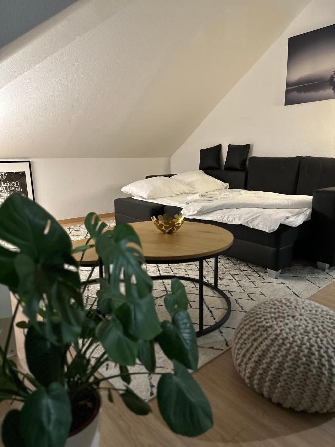 Oasis Appart - Wohnen Am Elbtal - Balkon - Netflix - Tiefgarage 德累斯顿 外观 照片